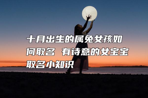 怎么追属兔的女孩子