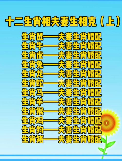 辛丑年与什么相冲