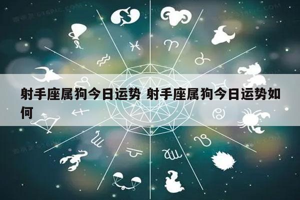 属狗的2022下半年运势