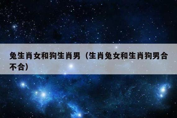 婚前人模婚后狗样的生肖兔