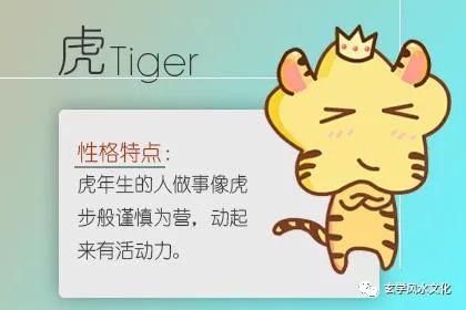 这些生肖始终放不下初恋