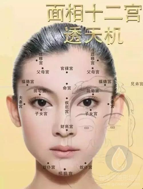 面相十二宫图解
