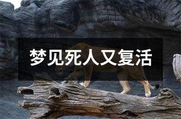 梦见遗体复活