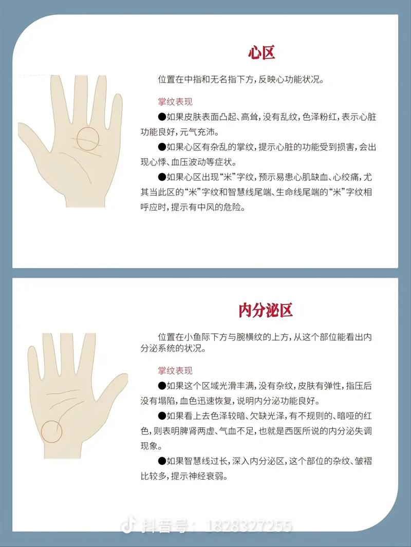 教你如何看手相知身体健康与否