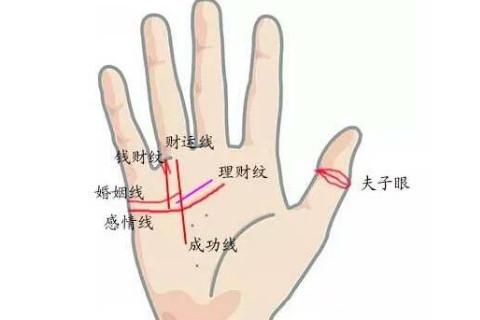 会嫁给好男人的有福气的女人手相揭秘