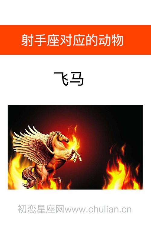 射手座喜欢哪种动物