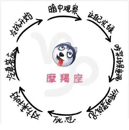 摩羯座为什么有时会发脾气