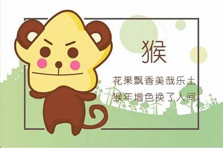 几月出生属猴女命苦