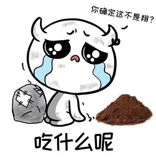 属鸡单身狗每天都在想些什么