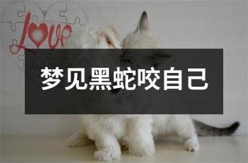 梦见大黑蛇咬自己