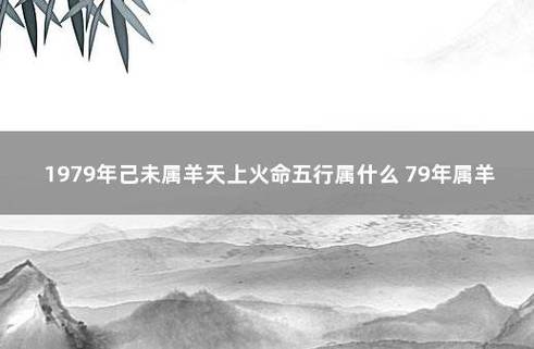 1979年五行属土还是火