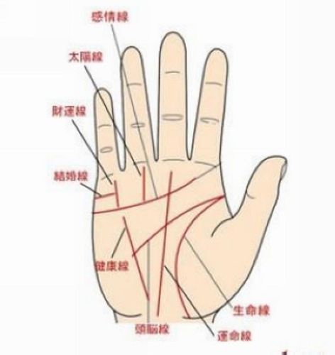 **教你怎样看手相