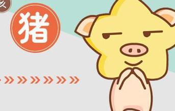 属狗2022年有升职加薪的机会吗