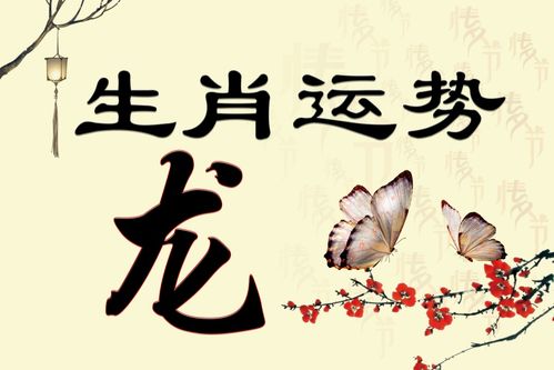 农历五月生肖兔沾惹谁会倒霉不断