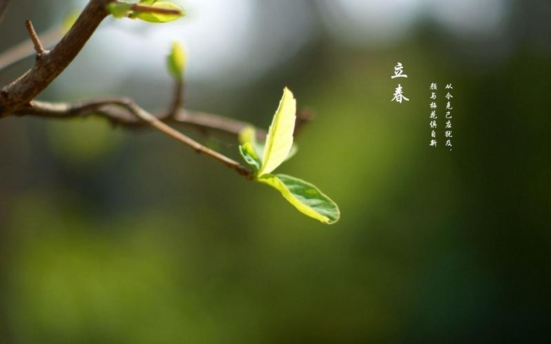 2021年没有立春生孩子好吗