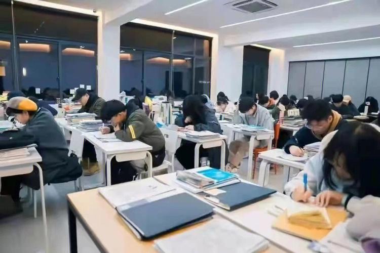 属龙艺考会选择什么