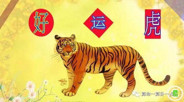 属虎36岁后有十年大运