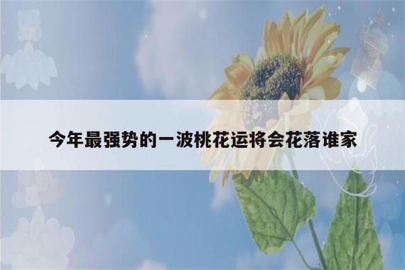 今年最强势的一波桃花运将会花落谁家