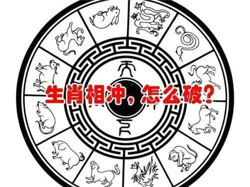 越缺什么就越炫耀什么的生肖