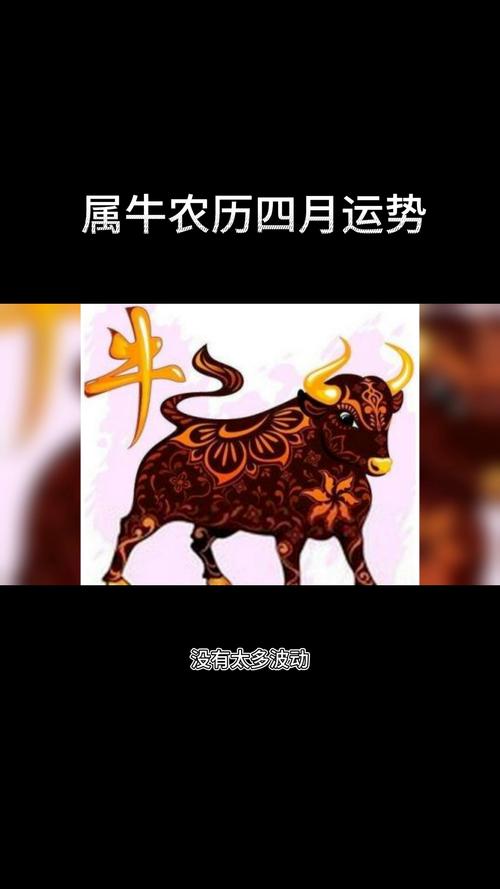 属牛几时出生好