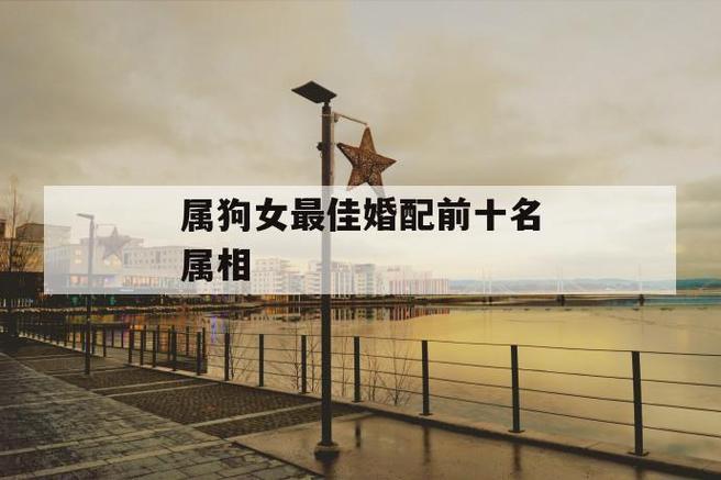 属狗女最佳婚配