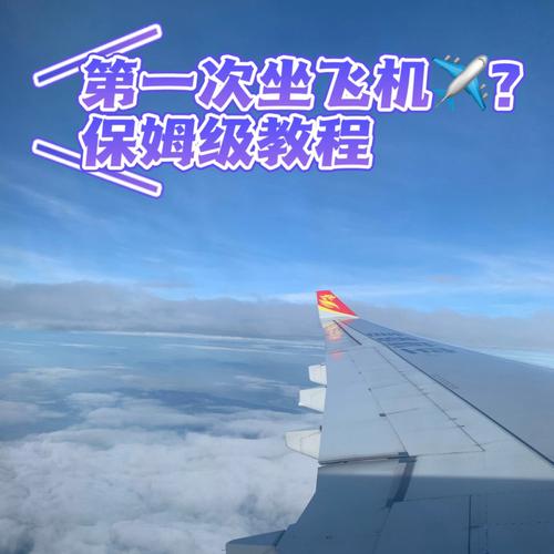 属虎人第一次坐飞机的感受