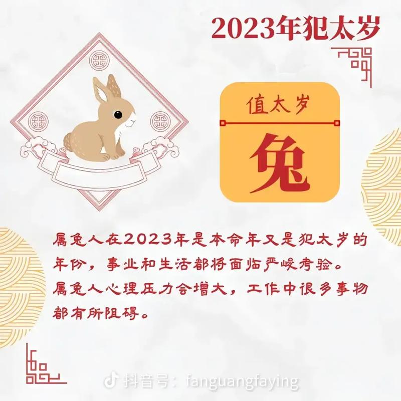属鼠人遇兔年运势如何