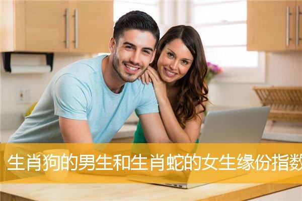 生肖狗的男生和生肖狗的女生缘份指数