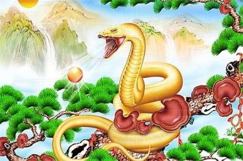 属蛇的男人性格和爱情