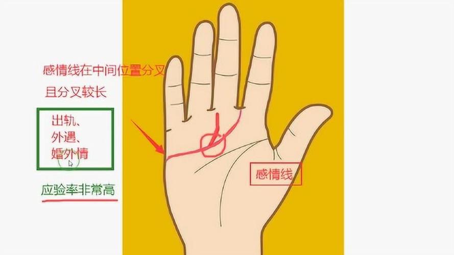 感情线在中指下方分叉_手相解析
