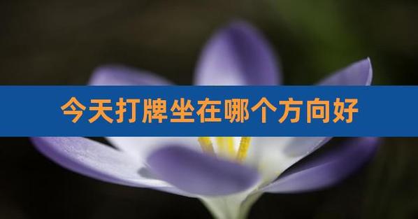打牌的时候坐在什么位置容易赢