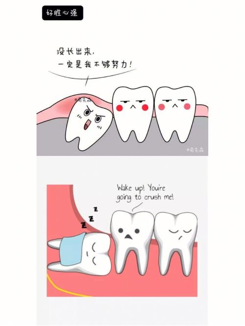 人说长智齿命好