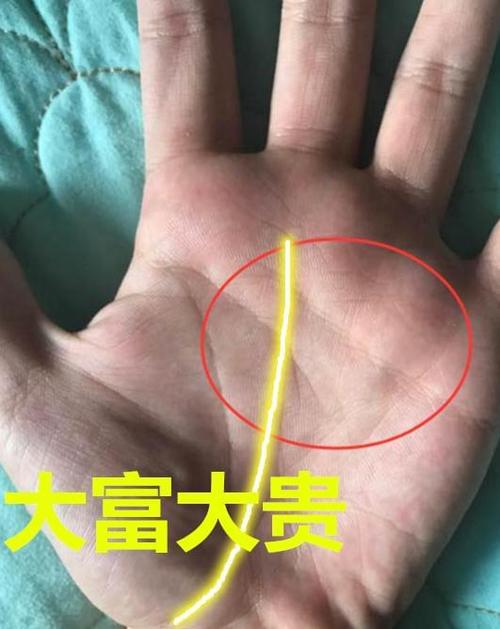 手相中出现这样的纹路,天生的“聚财掌”,今生定是“千亿富翁”