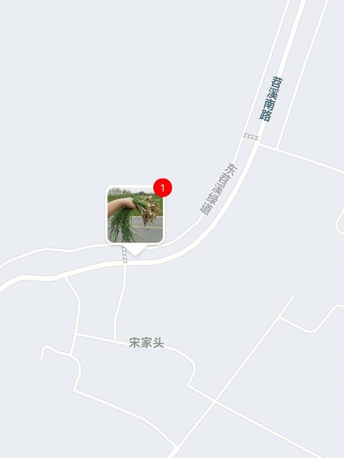 结婚两根葱两根艾草