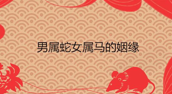 属蛇的的男生和属马的的女生缘分指数