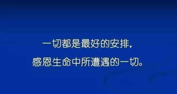 别着急,命运自会安排好一切