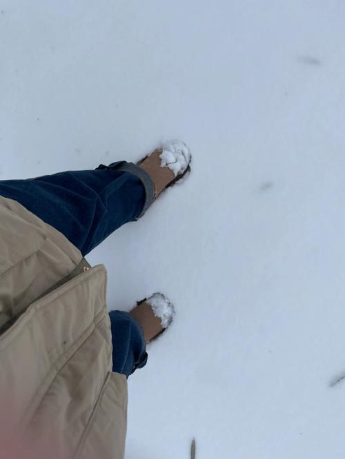 梦见白雪铺满地是什么征兆