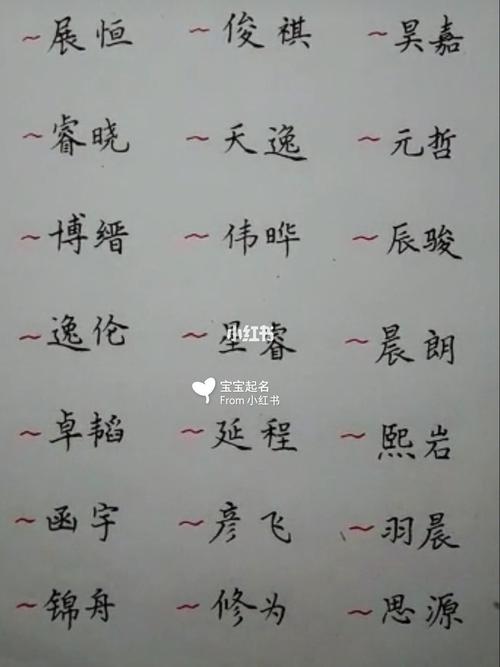 属猪的男孩名字集,总有你要的