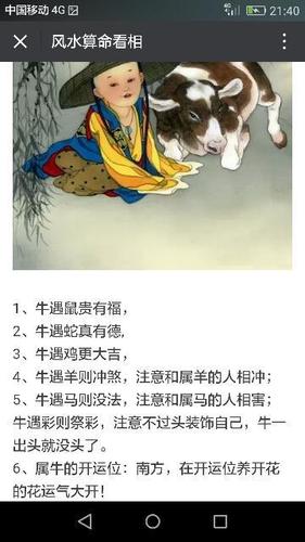 属牛的鼠年运势