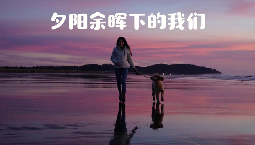 梦见大海里奔跑什么意思,梦见大海里奔跑的含义