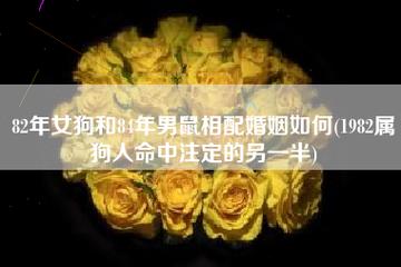 属狗人命中注定的另一半是谁