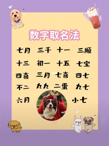 如何给狗狗起个好名字?照样有讲究