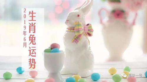 2019年6月属兔的人什么运最好