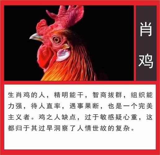 93年生肖鸡命中有两大贵人