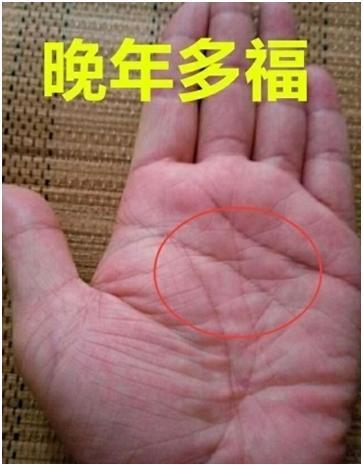 子女缘较好能够晚年幸福的手相