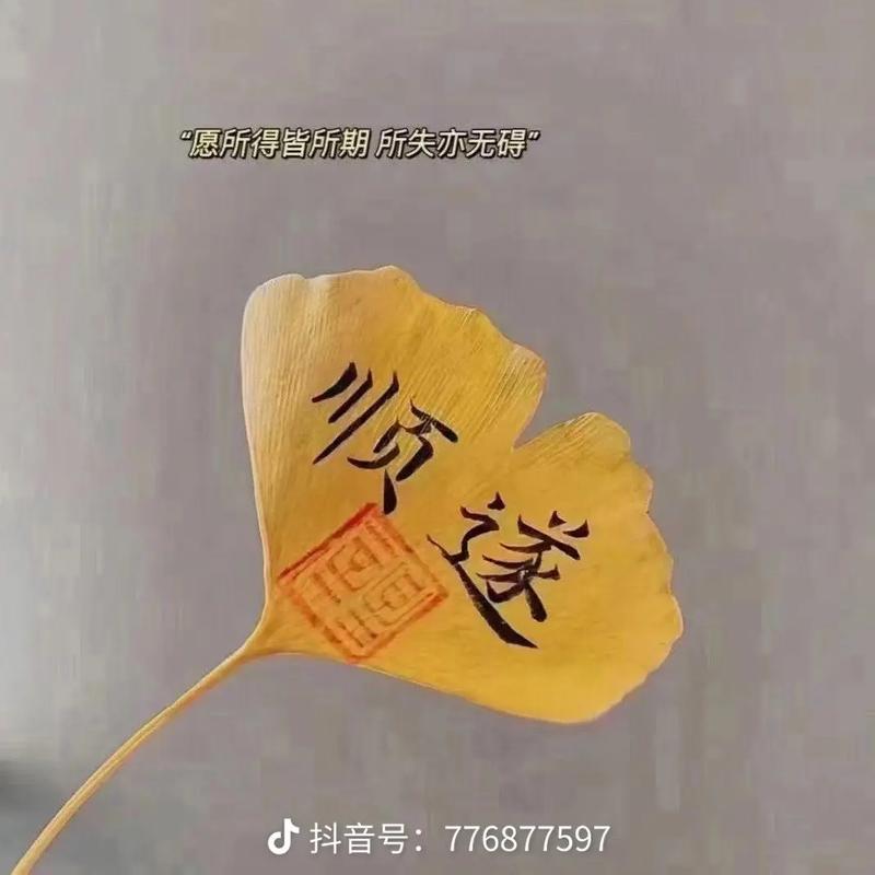 出生在哪些月份一生无灾
