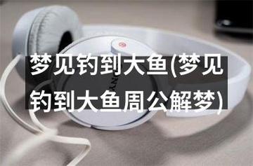 做梦梦见捞到大鱼,梦见捞到一条大鱼预示什么?
