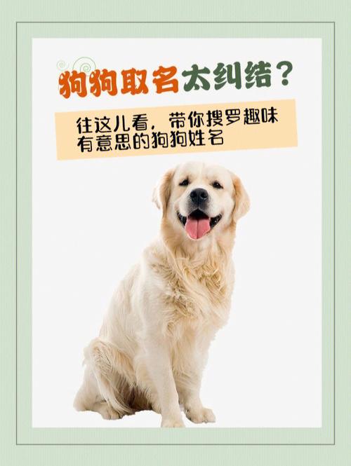 狗狗吉祥的名字大全