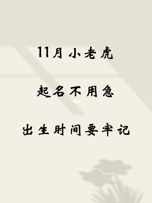 巳时出生的虎男孩好吗