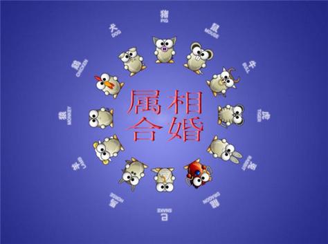 哪些生肖男婚后会疼爱老婆胜过自己